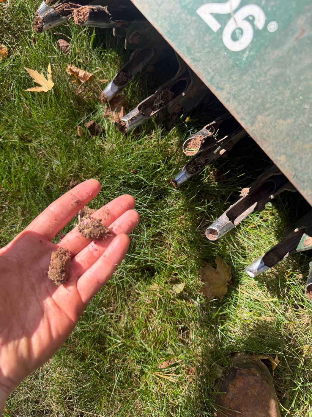 Close-up of lawn aeration equipment and soil plugs in a hand