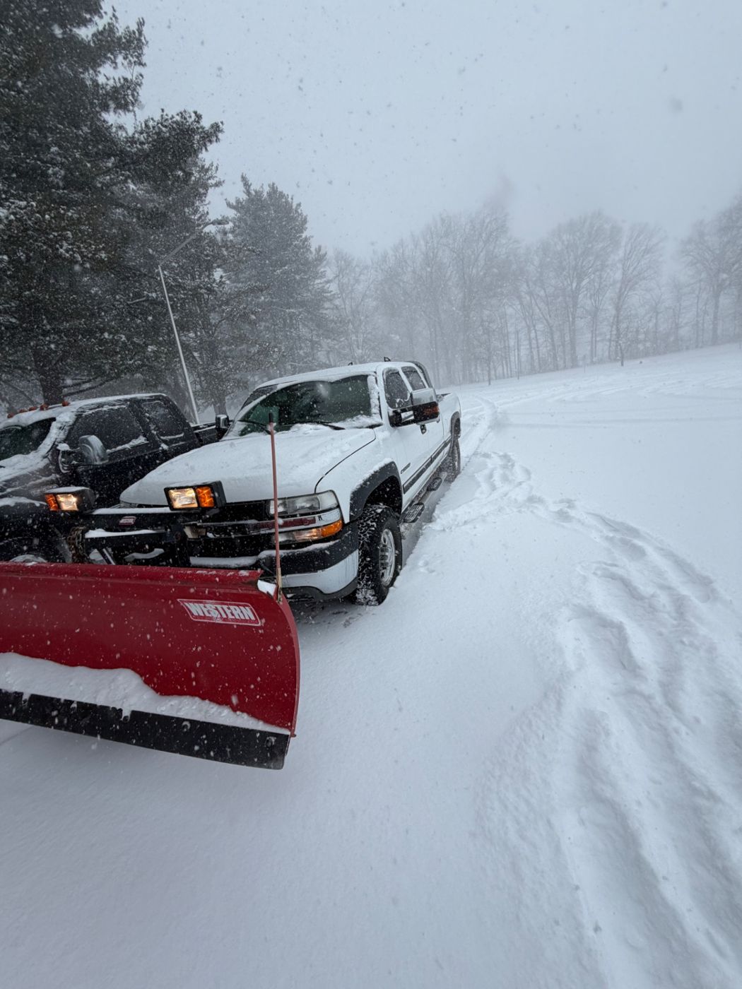 White pickup trucks fitted with snowplows during a snowstorm